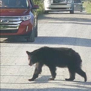 Meet your Posher, Barbara